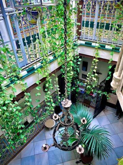Hostal Lis Sevilla Exterior foto